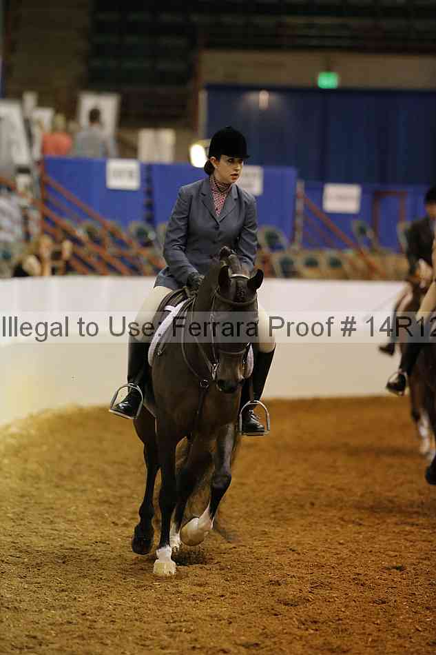 Proof Number 14r12_2097