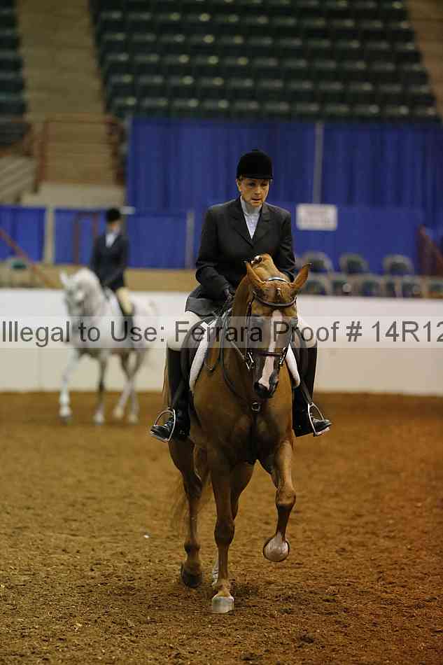 Proof Number 14r12_2099