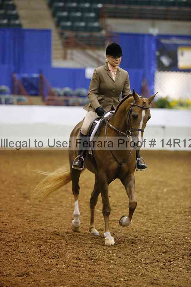 Proof Number 14r12_2110