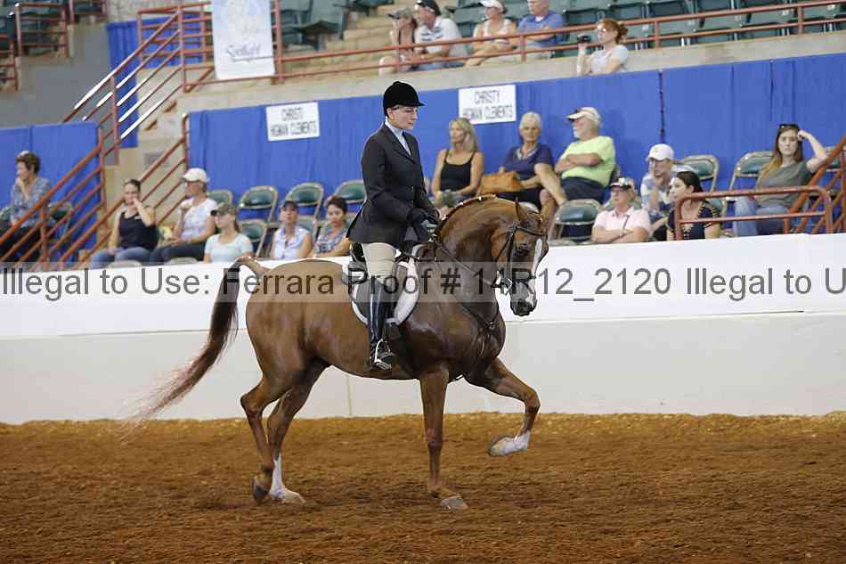Proof Number 14r12_2120