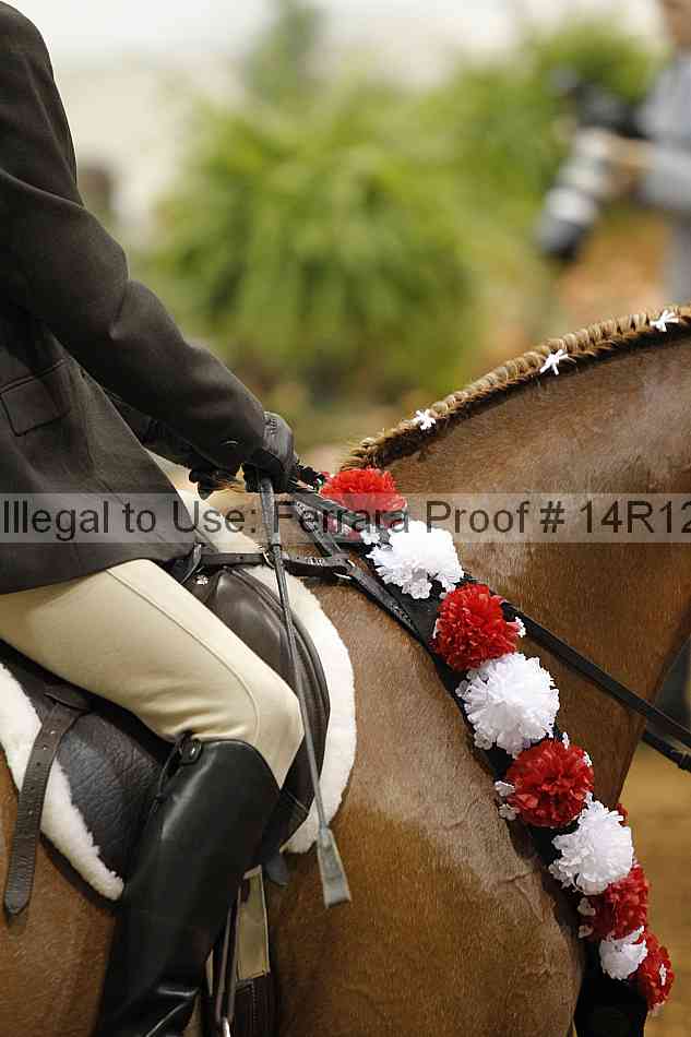 Proof Number 14r12_2132