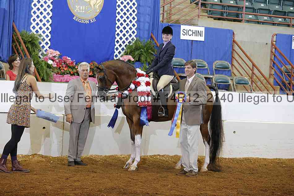 Proof Number 14r12_2140