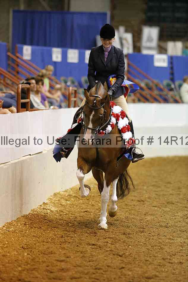 Proof Number 14r12_2165