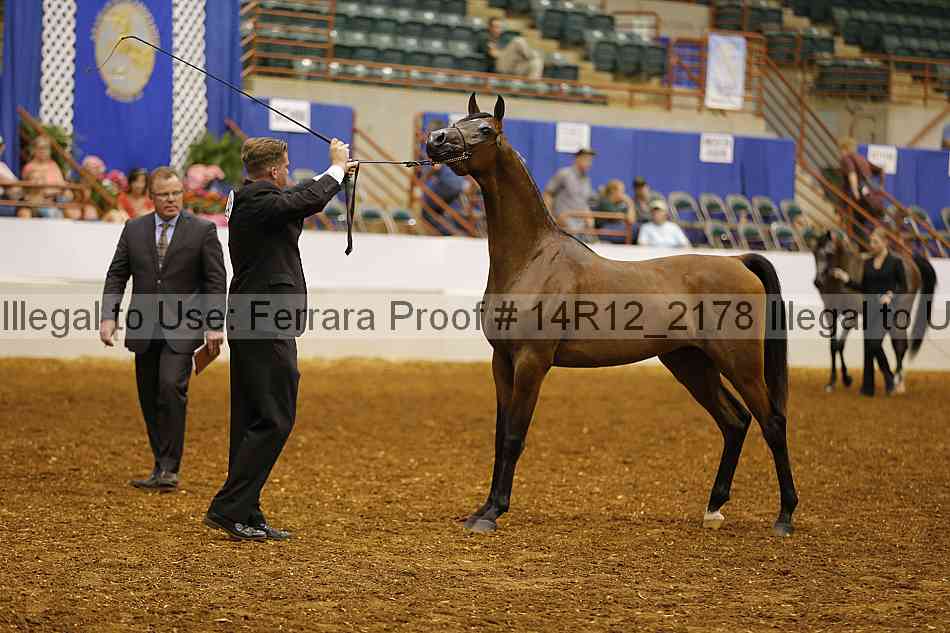 Proof Number 14r12_2178