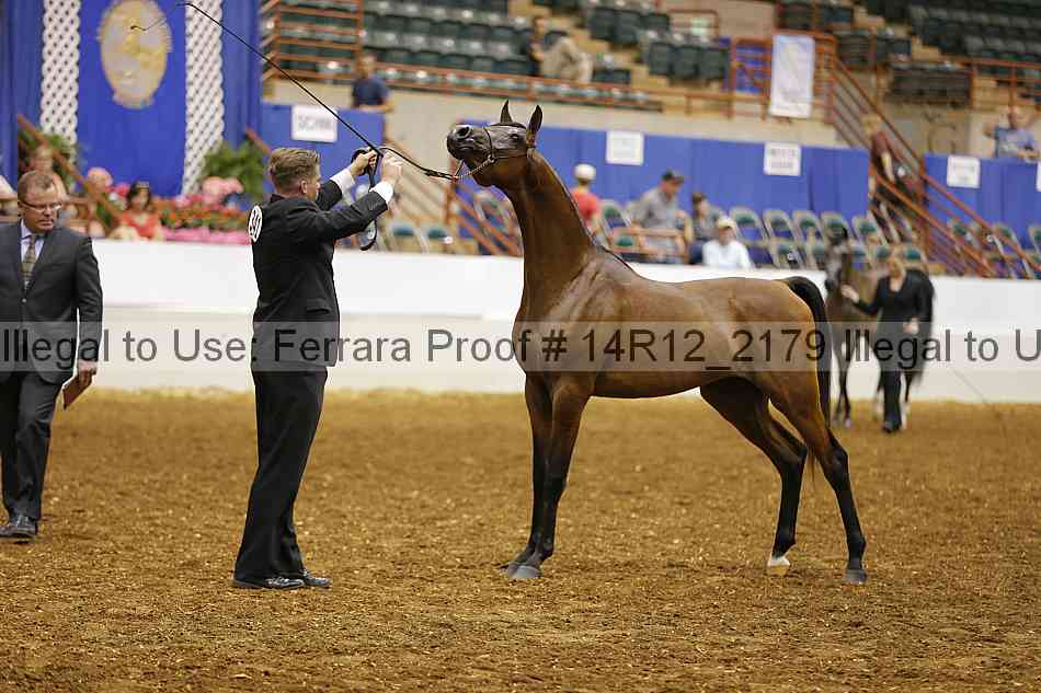 Proof Number 14r12_2179
