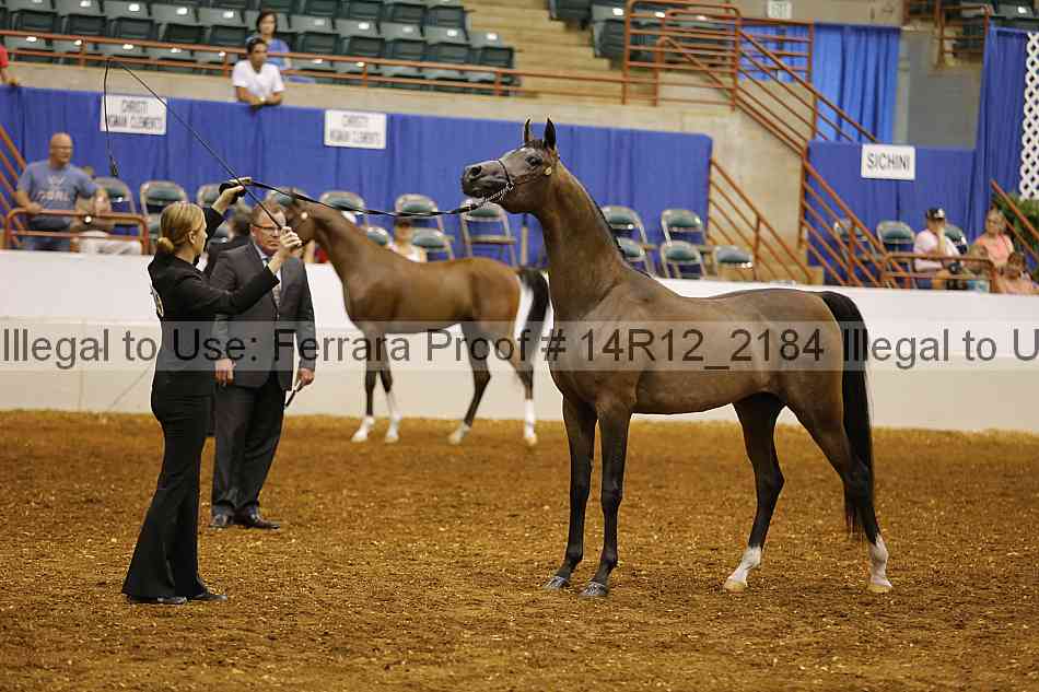 Proof Number 14r12_2184