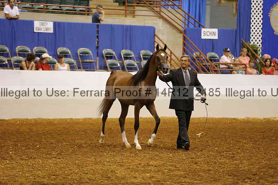 Proof Number 14r12_2185