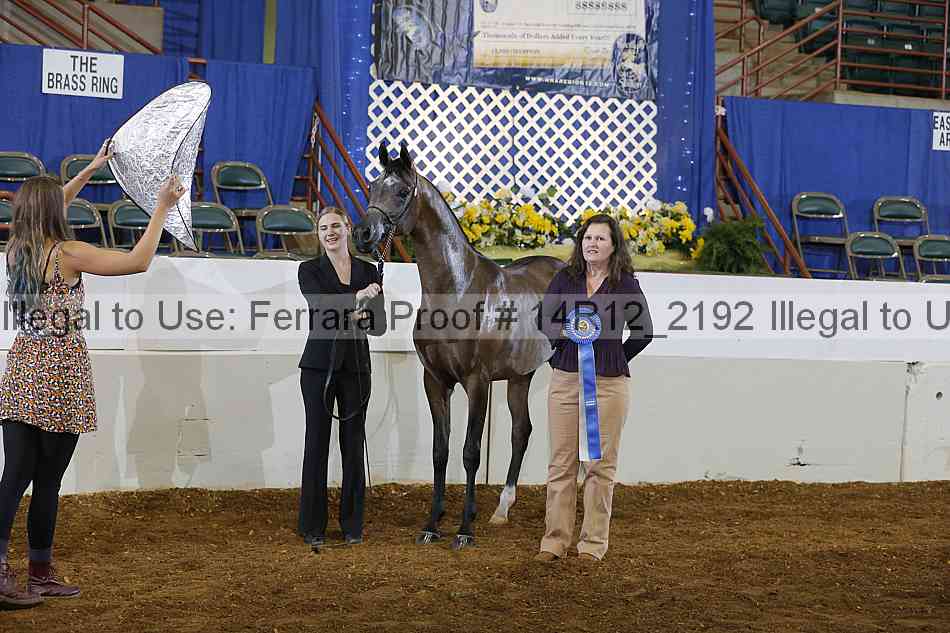 Proof Number 14r12_2192