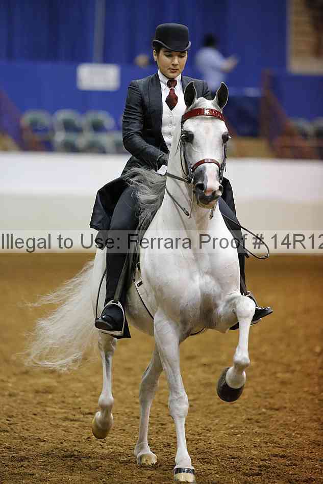 Proof Number 14r12_2210