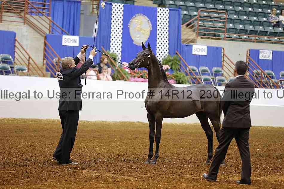 Proof Number 14r12_2307