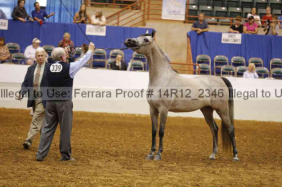 Proof Number 14r12_2346