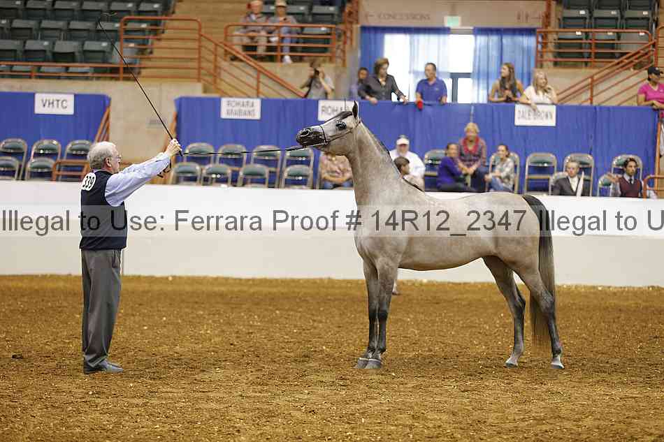 Proof Number 14r12_2347