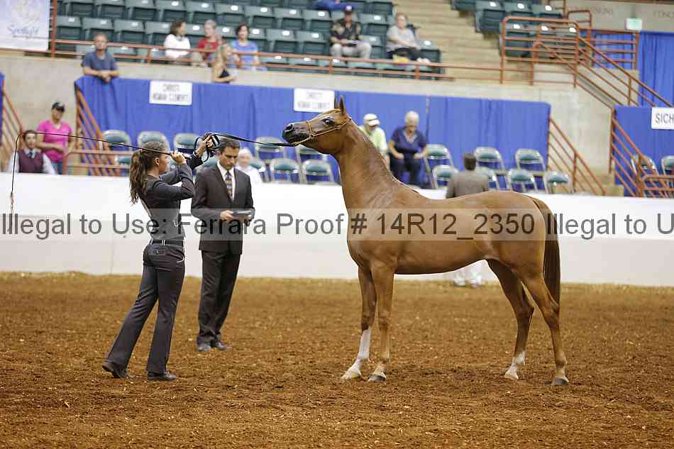 Proof Number 14r12_2350