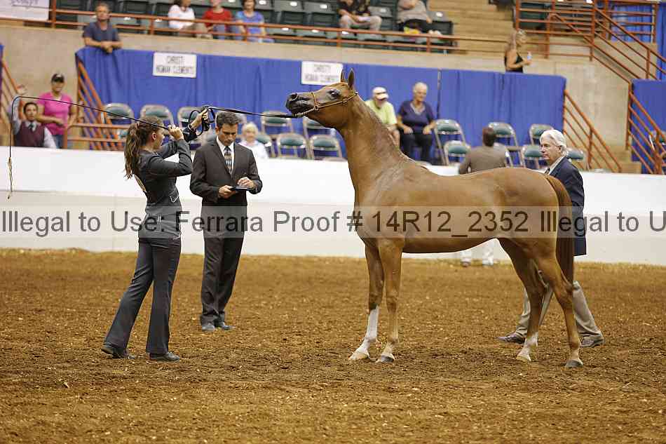 Proof Number 14r12_2352