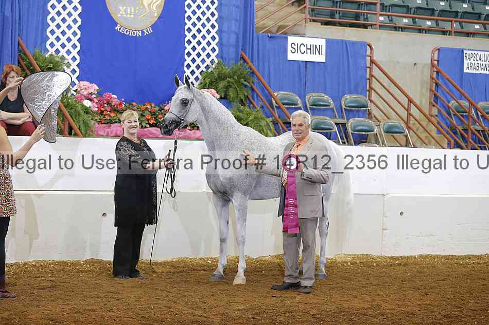 Proof Number 14r12_2356