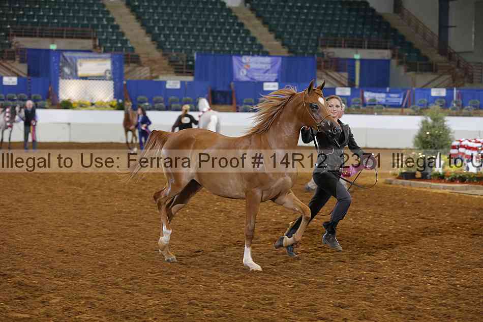 Proof Number 14r12_2371