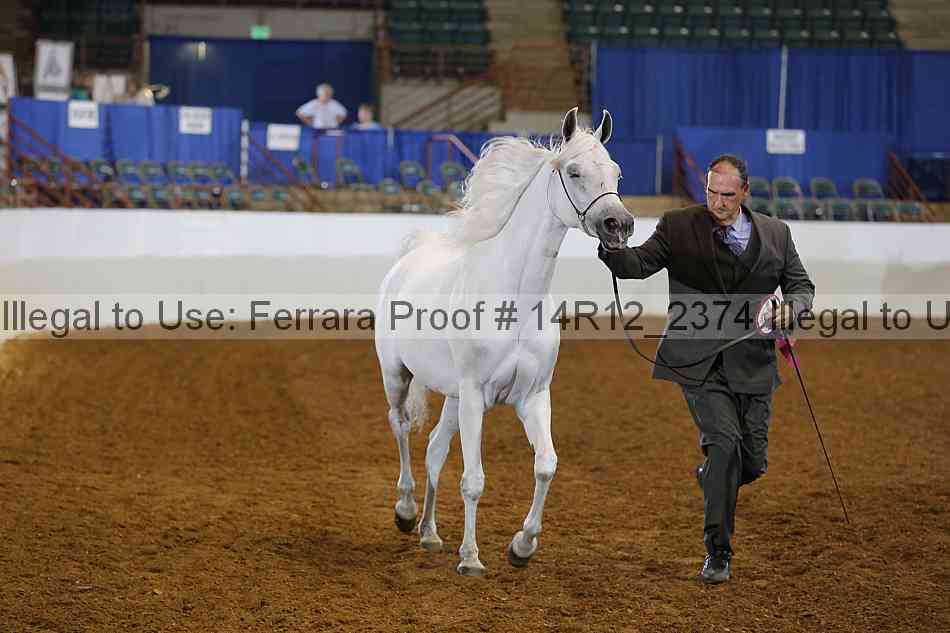Proof Number 14r12_2374