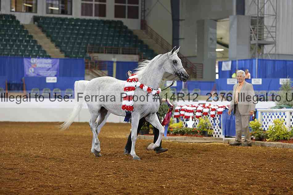 Proof Number 14r12_2376