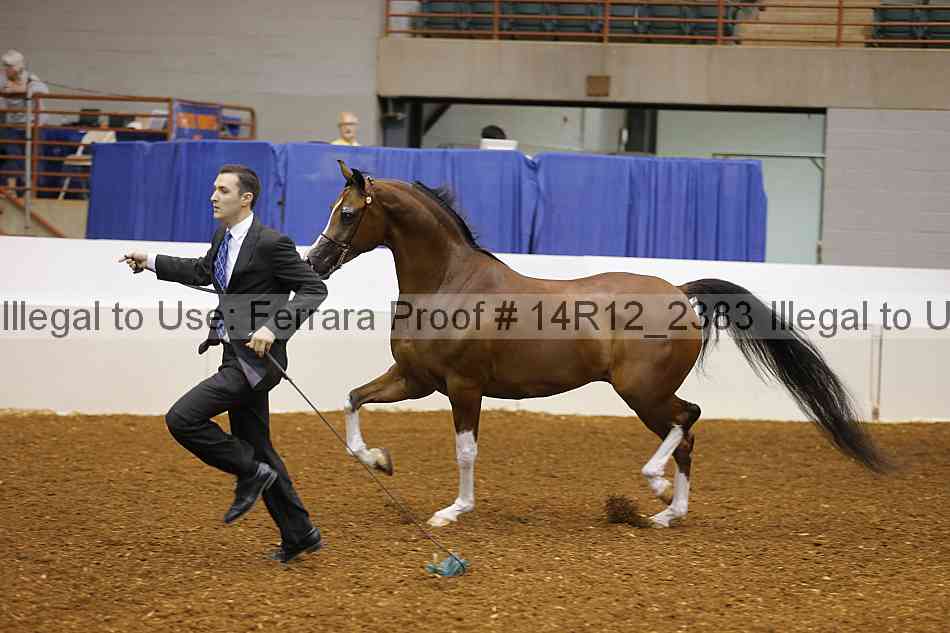 Proof Number 14r12_2383