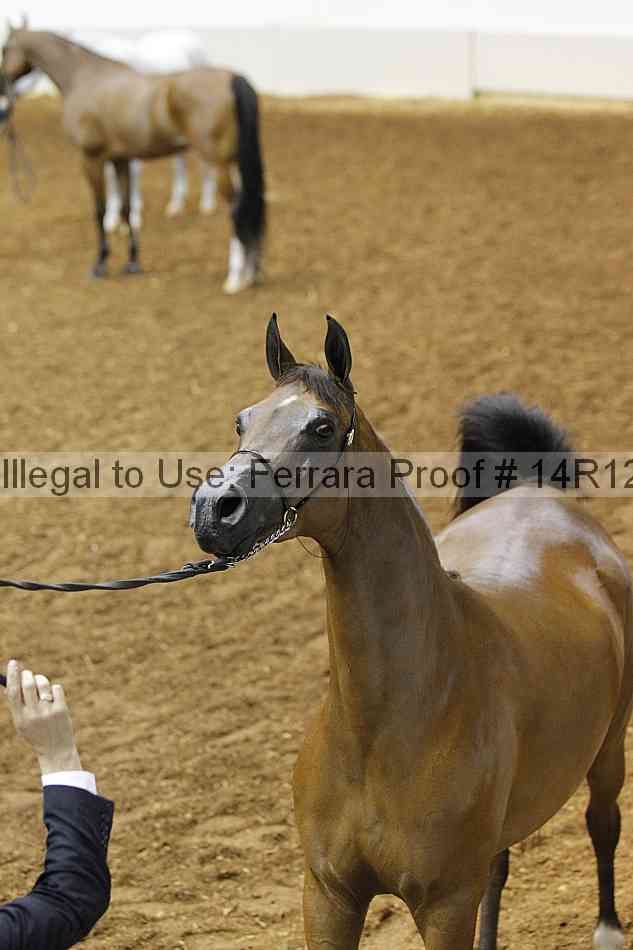 Proof Number 14r12_2449