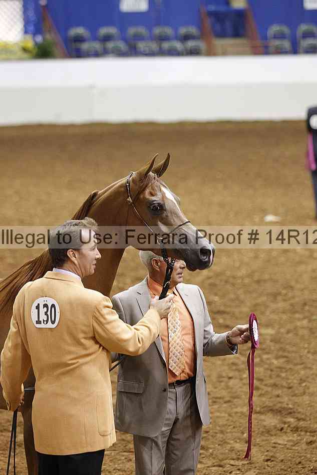 Proof Number 14r12_2453