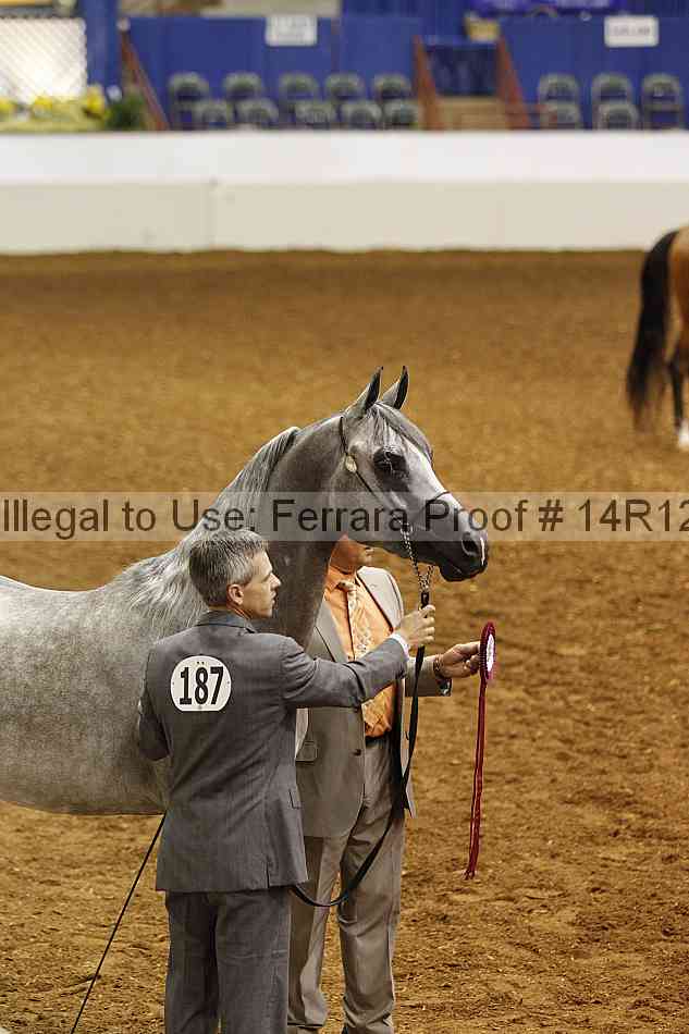 Proof Number 14r12_2456