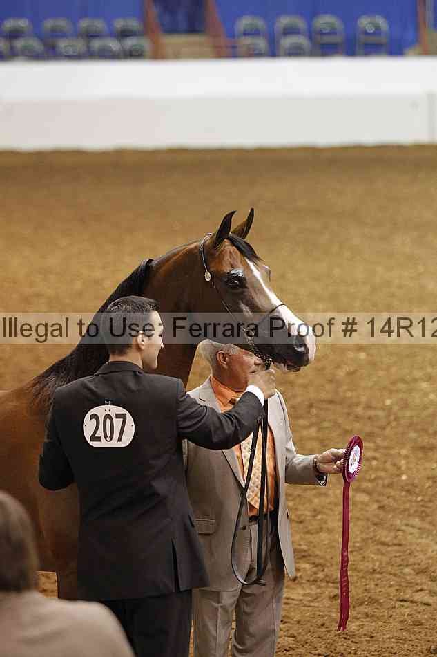 Proof Number 14r12_2460