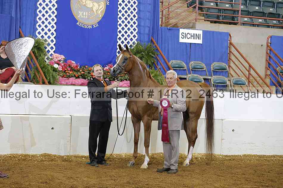 Proof Number 14r12_2463