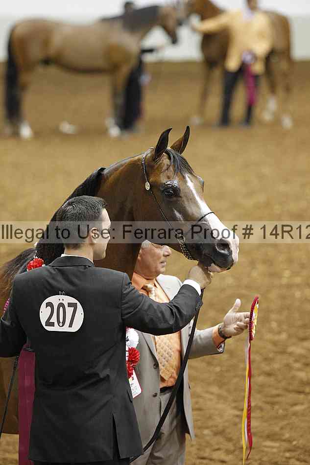 Proof Number 14r12_2464