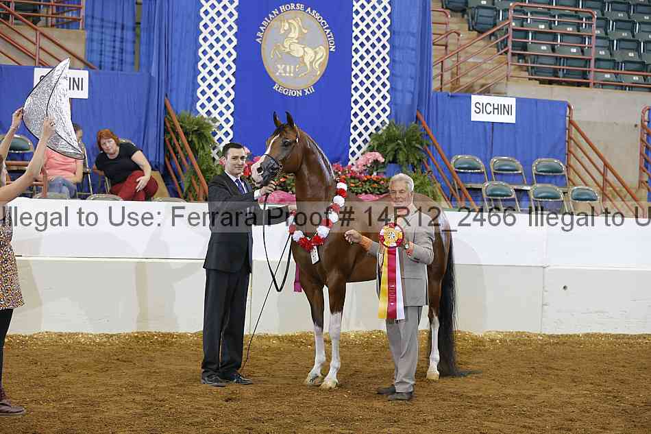 Proof Number 14r12_2466