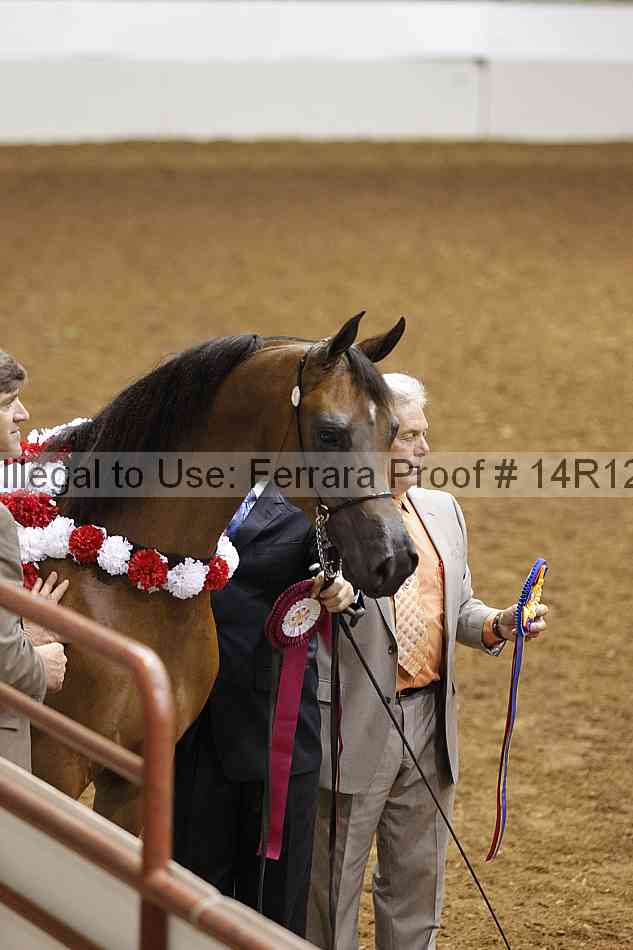 Proof Number 14r12_2468