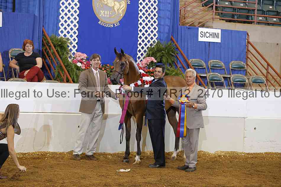 Proof Number 14r12_2470