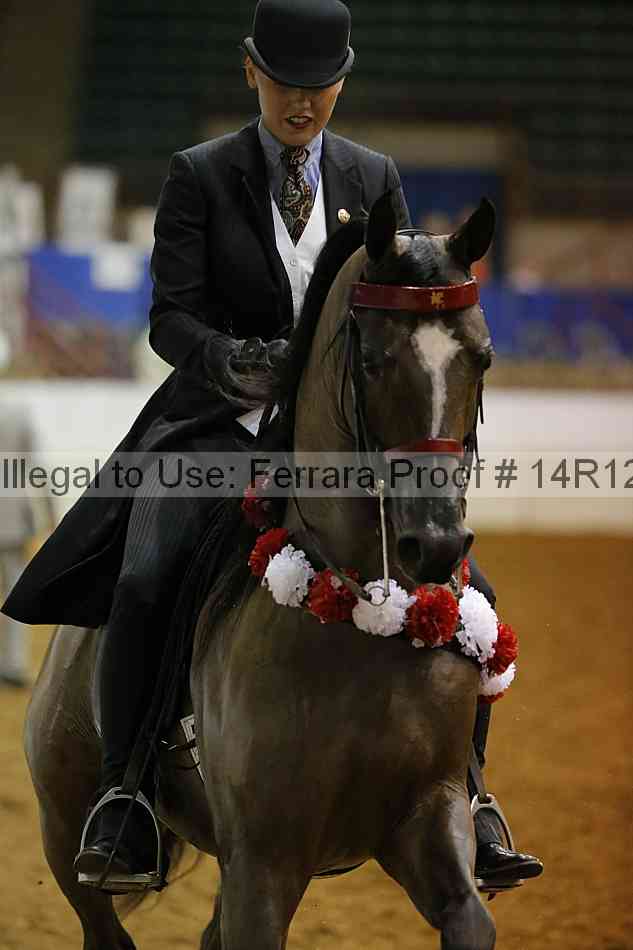 Proof Number 14r12_2501