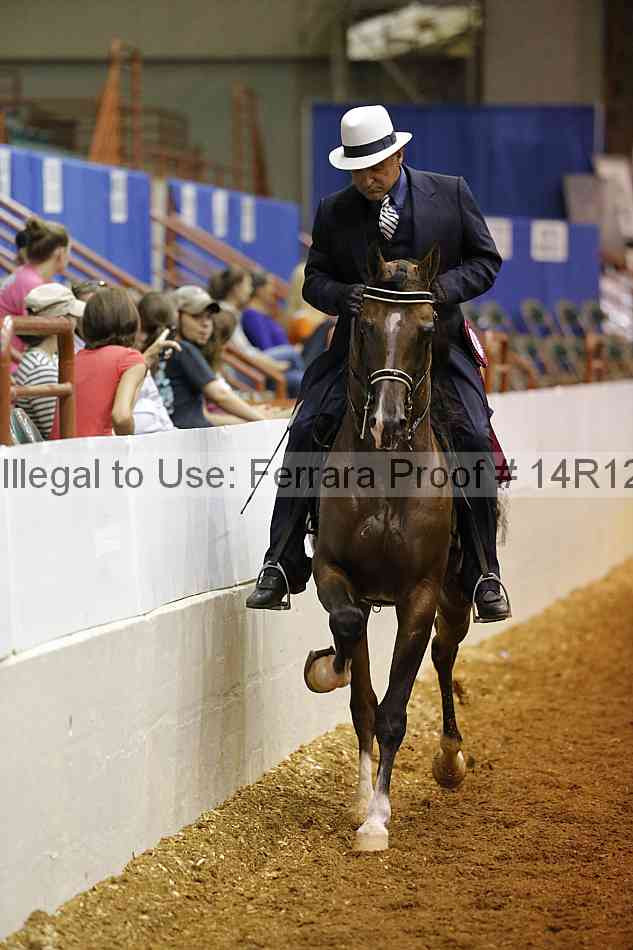 Proof Number 14r12_2510