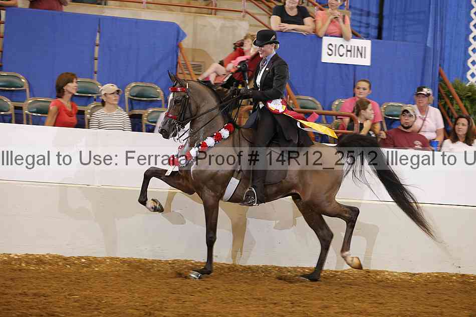 Proof Number 14r12_2512