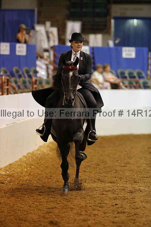 Proof Number 14r12_2523