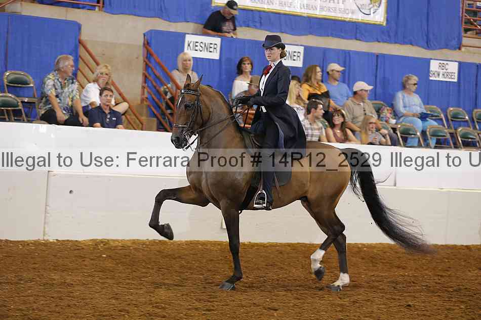 Proof Number 14r12_2529