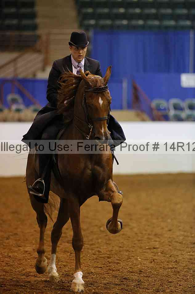 Proof Number 14r12_2534