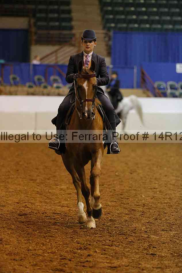 Proof Number 14r12_2538