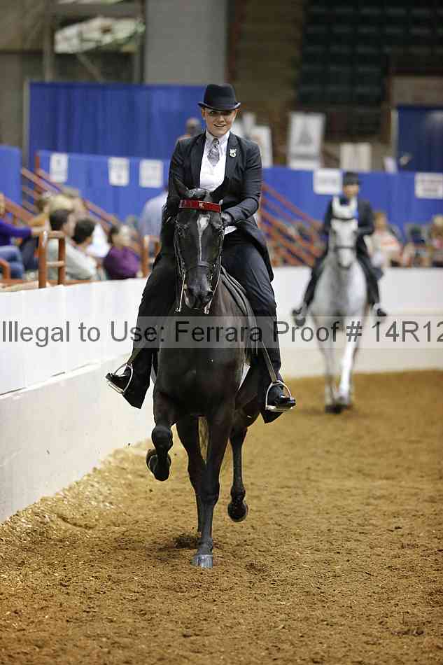 Proof Number 14r12_2539
