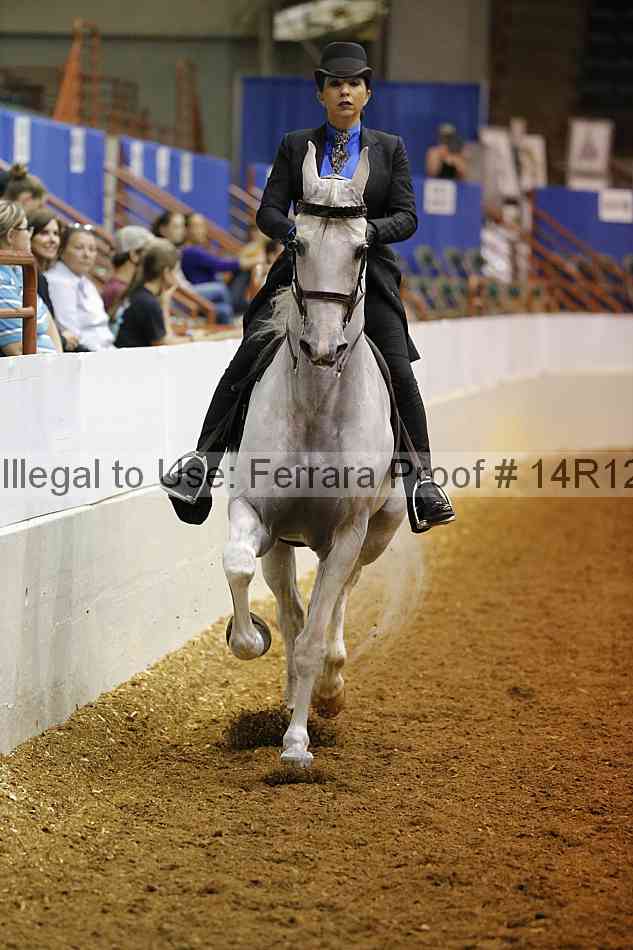 Proof Number 14r12_2540