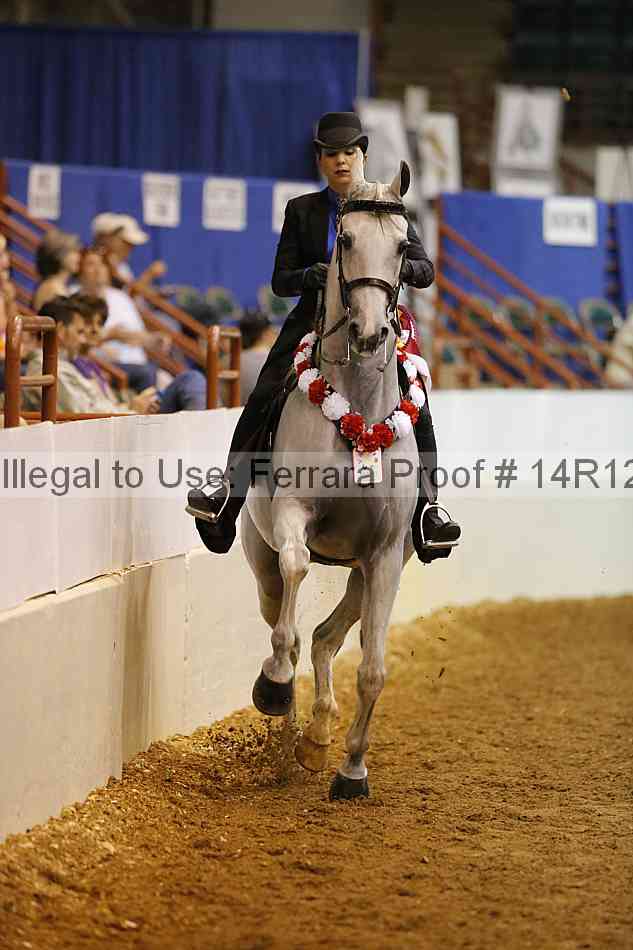 Proof Number 14r12_2564
