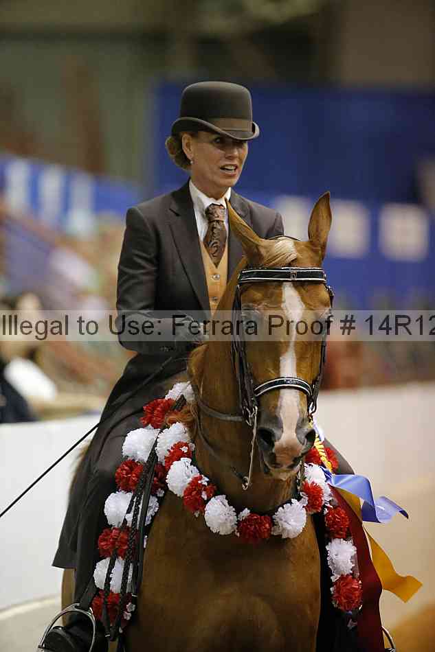 Proof Number 14r12_2594