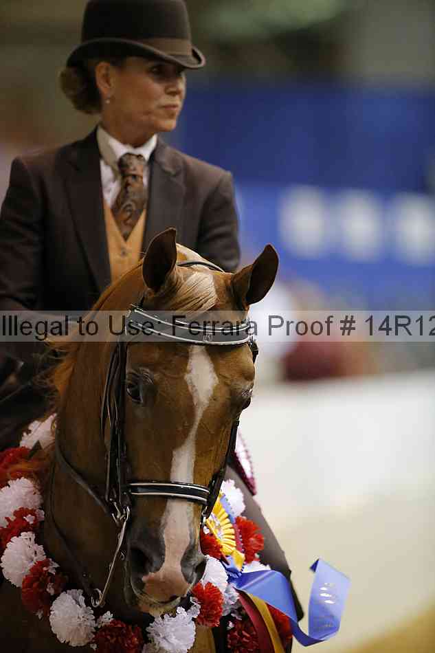 Proof Number 14r12_2596