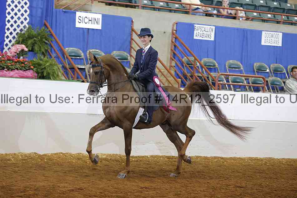 Proof Number 14r12_2597