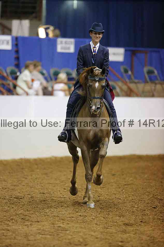 Proof Number 14r12_2599