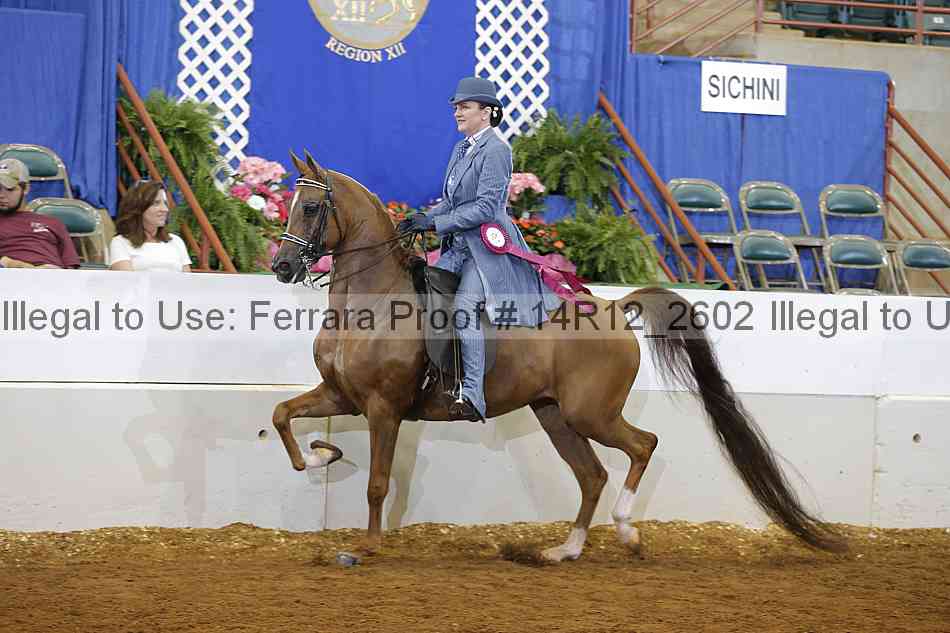 Proof Number 14r12_2602