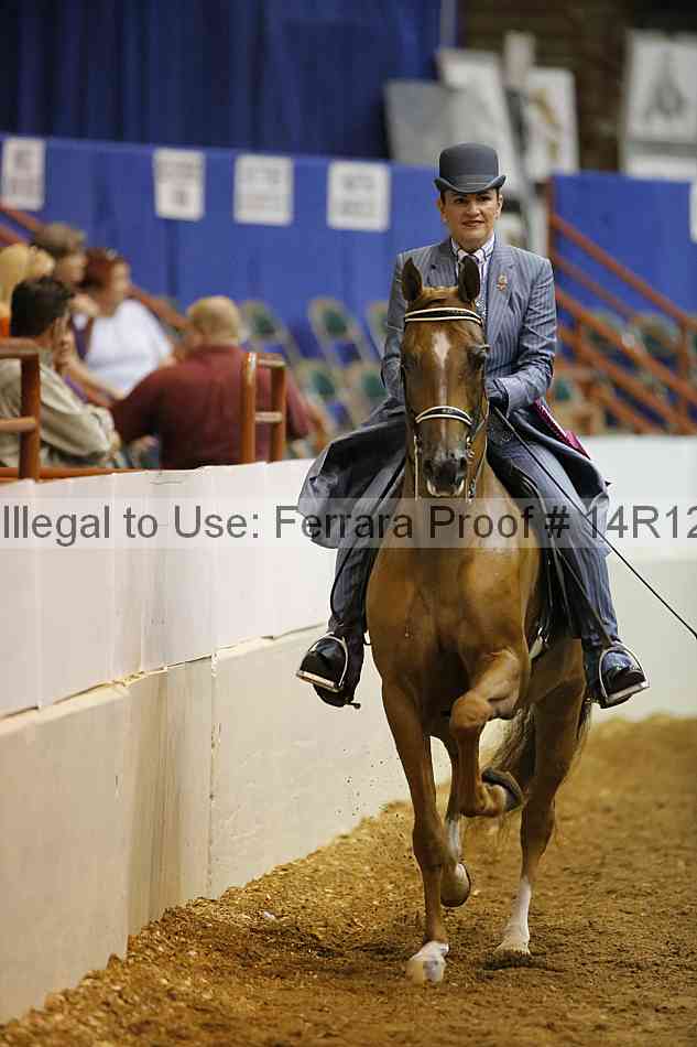 Proof Number 14r12_2603