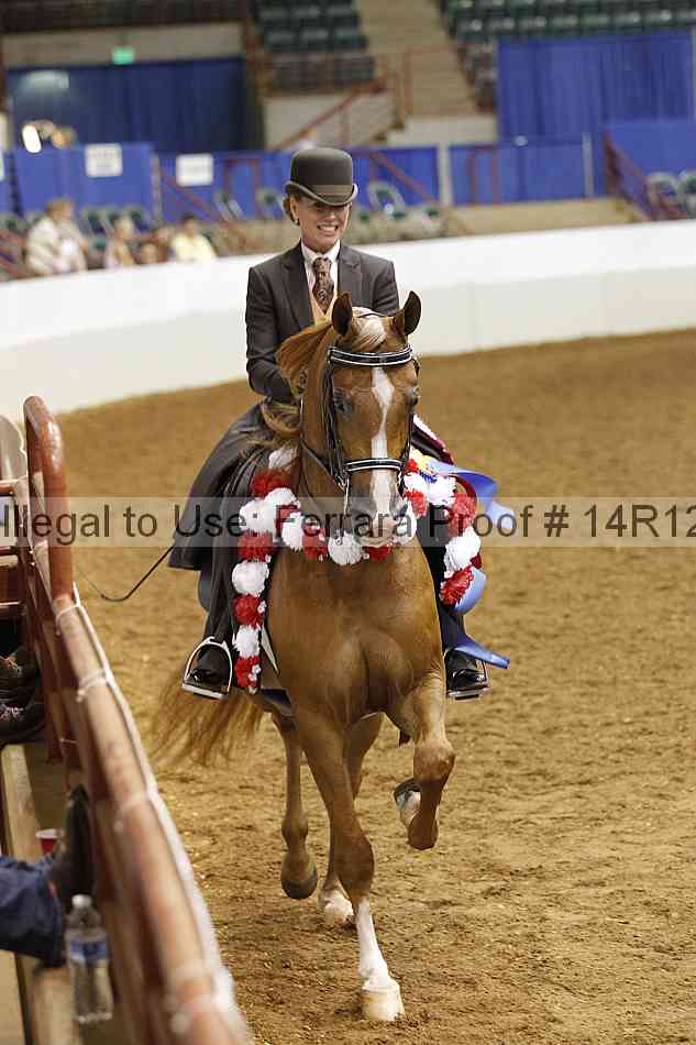 Proof Number 14r12_2608