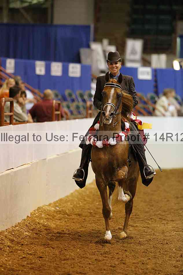 Proof Number 14r12_2613